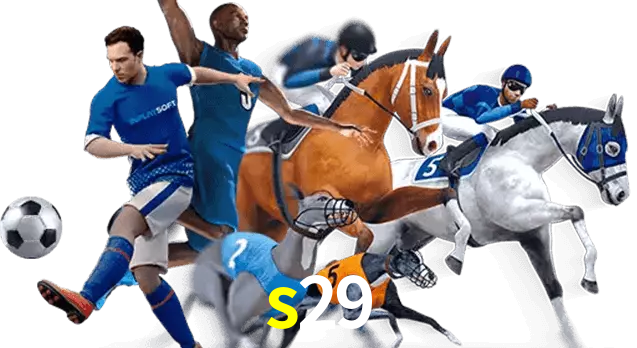 s29